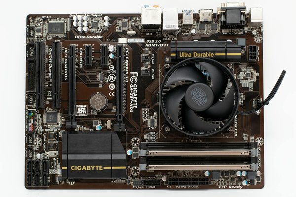 Roal Oak Casino 50 Free Spins